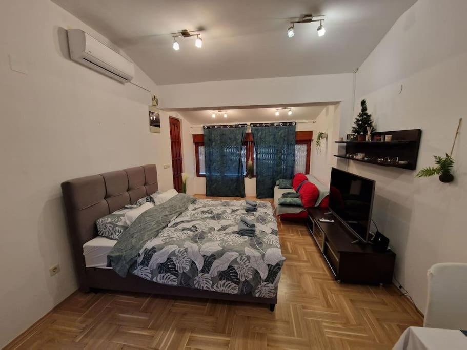 Warm House Full Of Green Ambient,Joy And Comfort Zagreb Eksteriør bilde