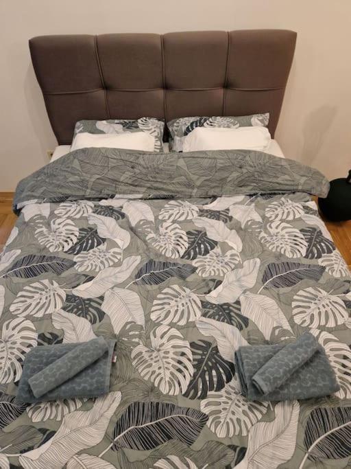 Warm House Full Of Green Ambient,Joy And Comfort Zagreb Eksteriør bilde